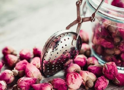 تصویر 2 از فروش گل محمدی لاله زار کرمان + قیمت خرید به صرفه